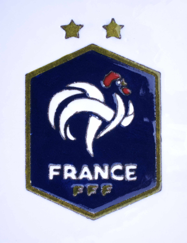 fédération française de foot